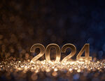 Investment trust 2024 review